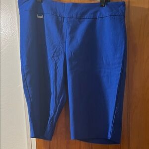 Peck & Peck Royal Blue Garment